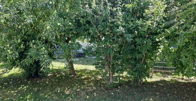 Gemeindegarten