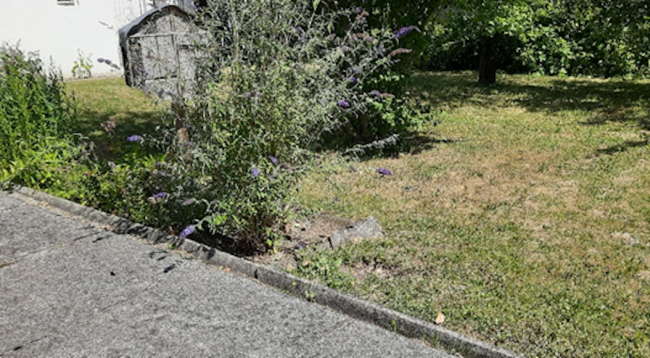 Pfarrgarten